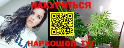 Альфа ПВП Дубна