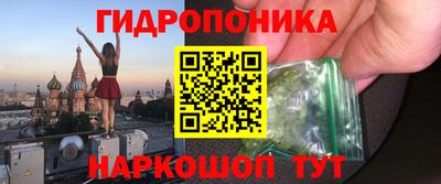 Альфа ПВП Дубна