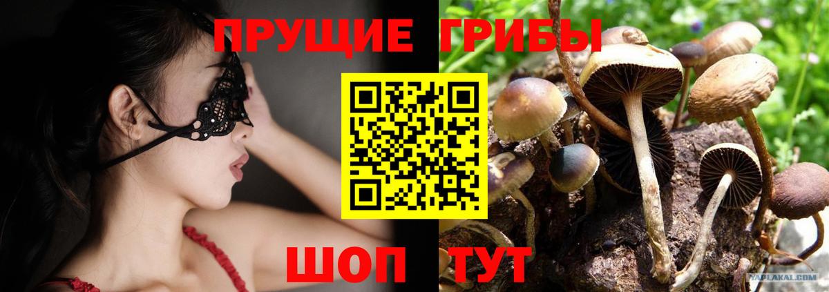 Галлюциногенные грибы MAGIC MUSHROOMS  Вход с VPN  Нарткала 