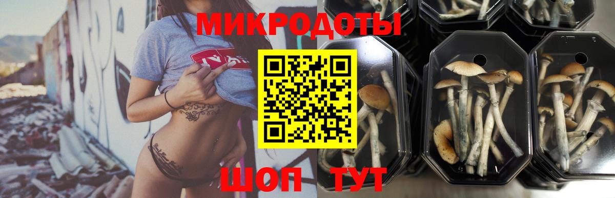 Галлюциногенные грибы ЛСД Нарткала